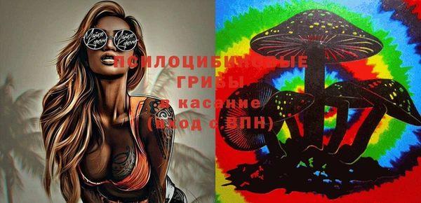 ПСИЛОЦИБИНОВЫЕ ГРИБЫ Богородицк