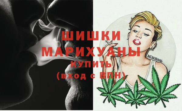 mdpv Богданович